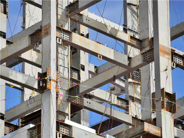 1564105961105490.jpg 8.jpg