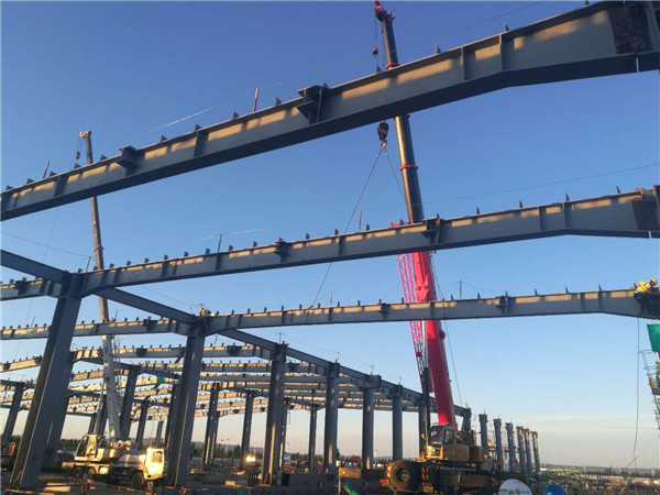 1564970700133385.jpg 4.jpg