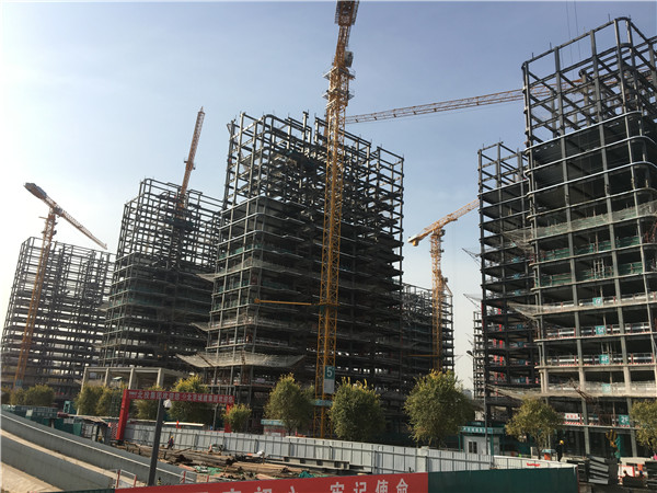 1572656442122546.jpg 2.jpg