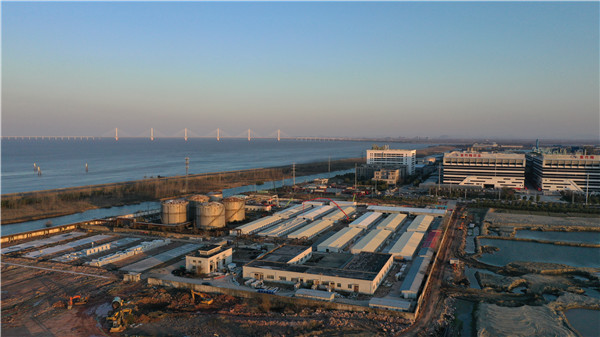 1582525990469056.jpg 1.jpg