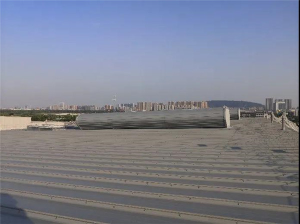 1583812900429994.jpg 03.jpg